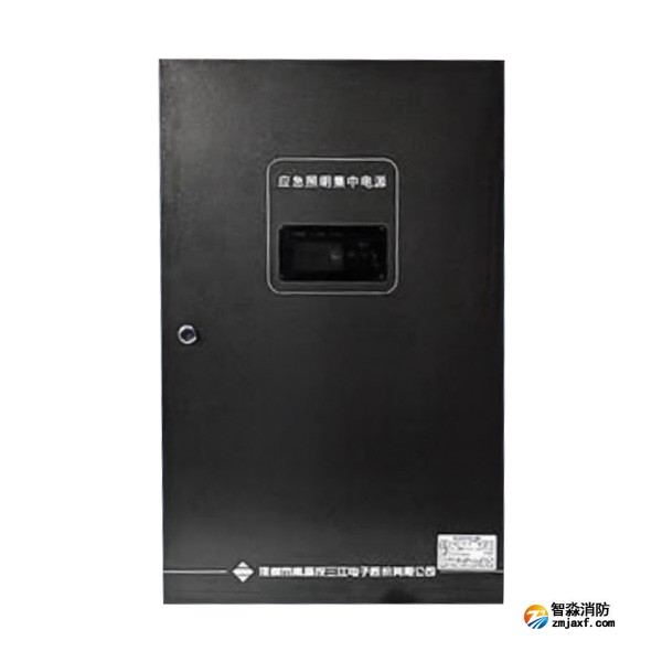 泰州海灣SJ-D-0.6KVA/P601AC應急照明集中電源 4回路 壁掛式