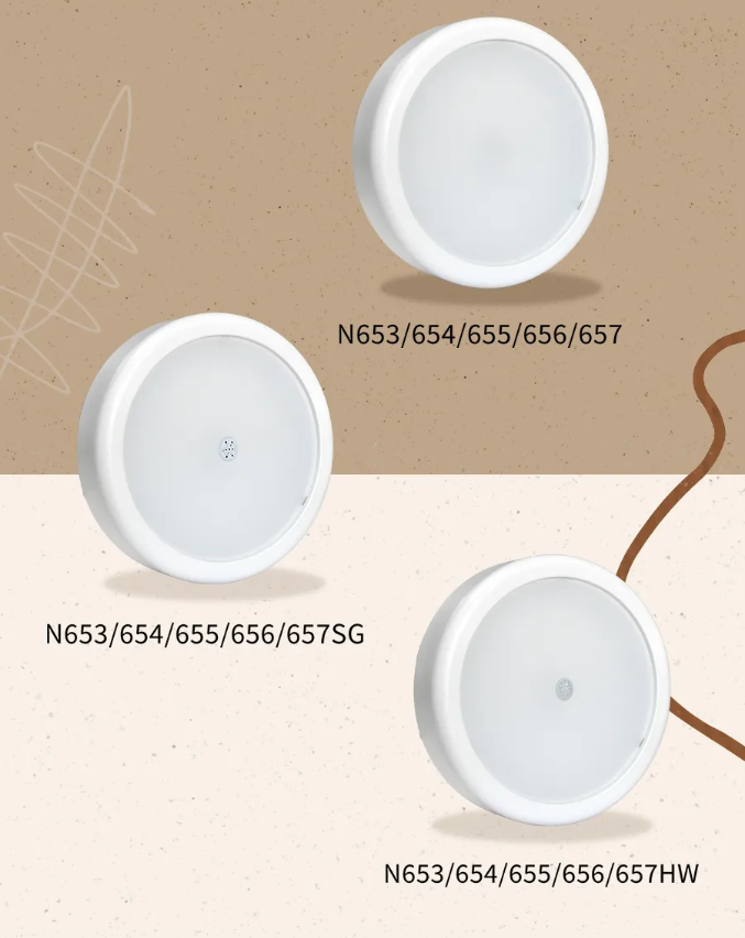 南京海灣消防N600二線制系列集中電源集中控制型消防應(yīng)急照明燈具產(chǎn)品型號(hào)