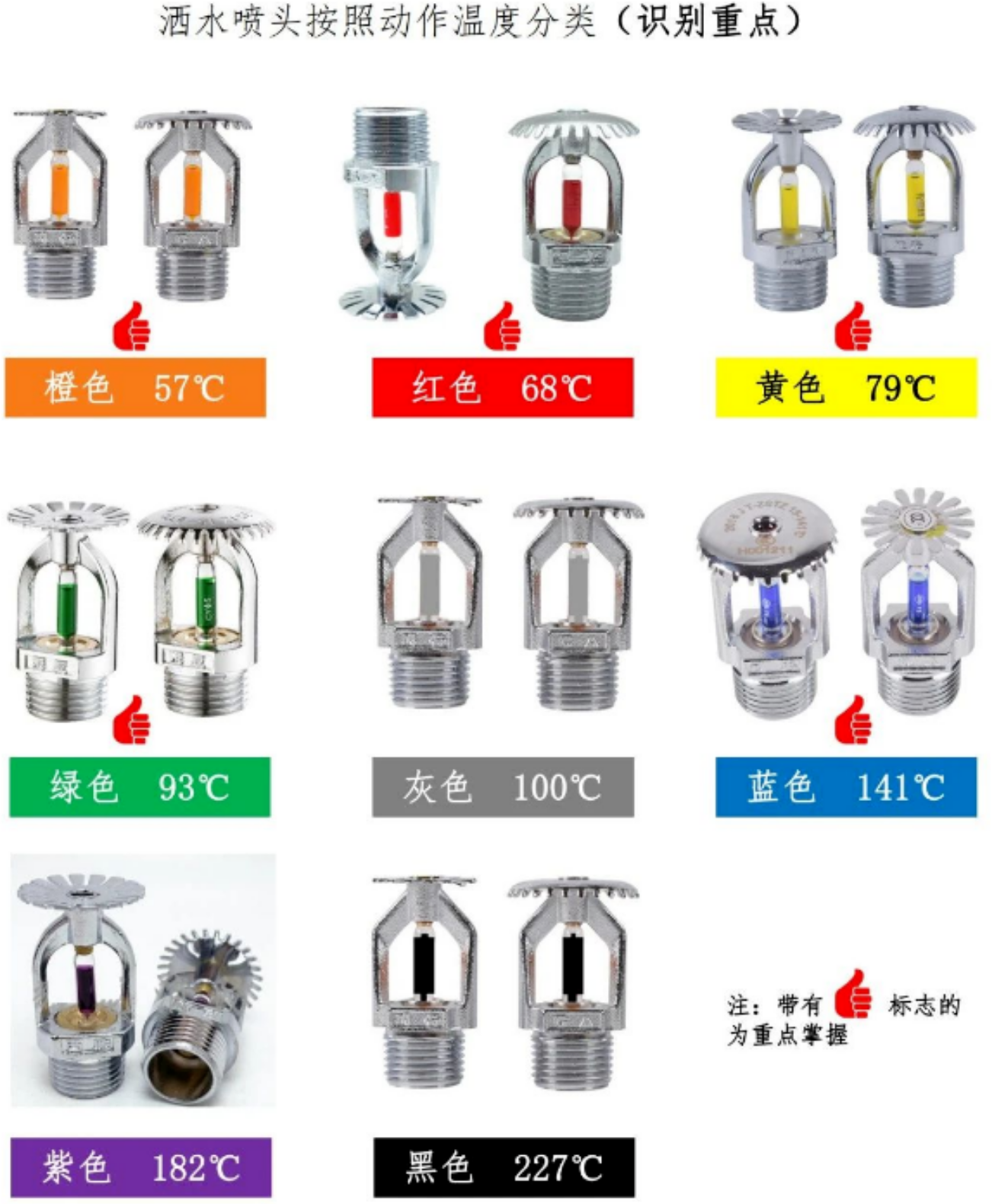 1772172531459292.png 1772172531459292.png